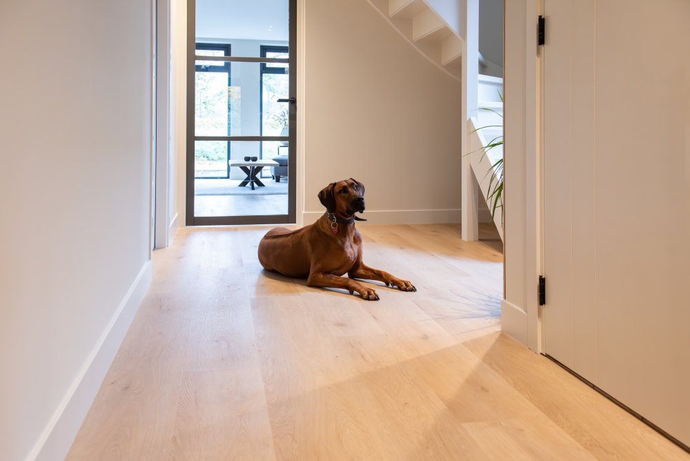 Belakos Attico 870 Rechte plank Klik PVC Bruin - Belakos