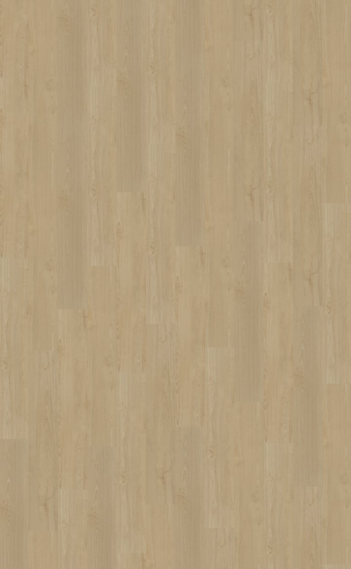 Belakos Portico 550 Rechte plank Klik PVC Beige