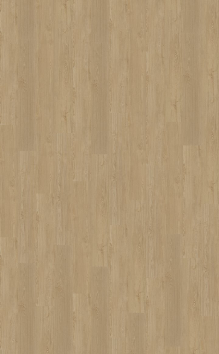 Belakos Portico 560 Rechte plank Klik PVC Beige