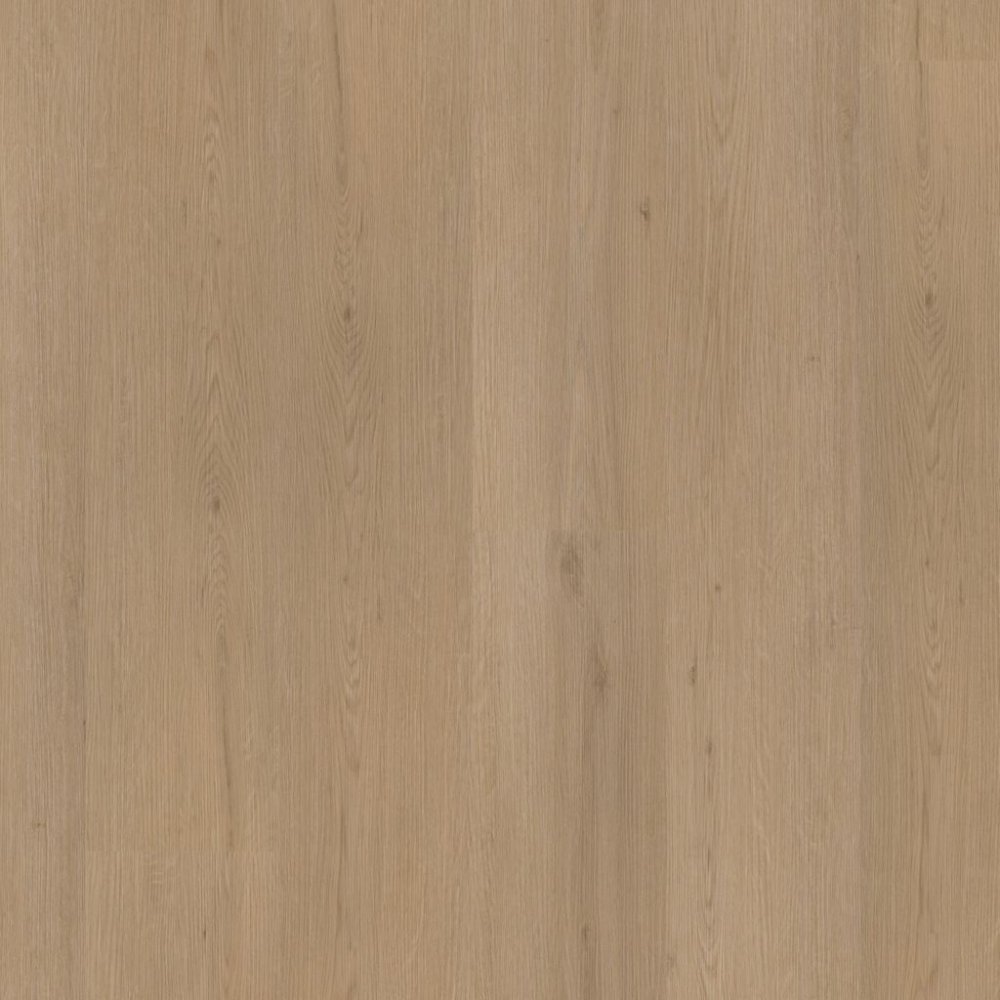 Ambiant Venera Betonlook Plak PVC Bruin