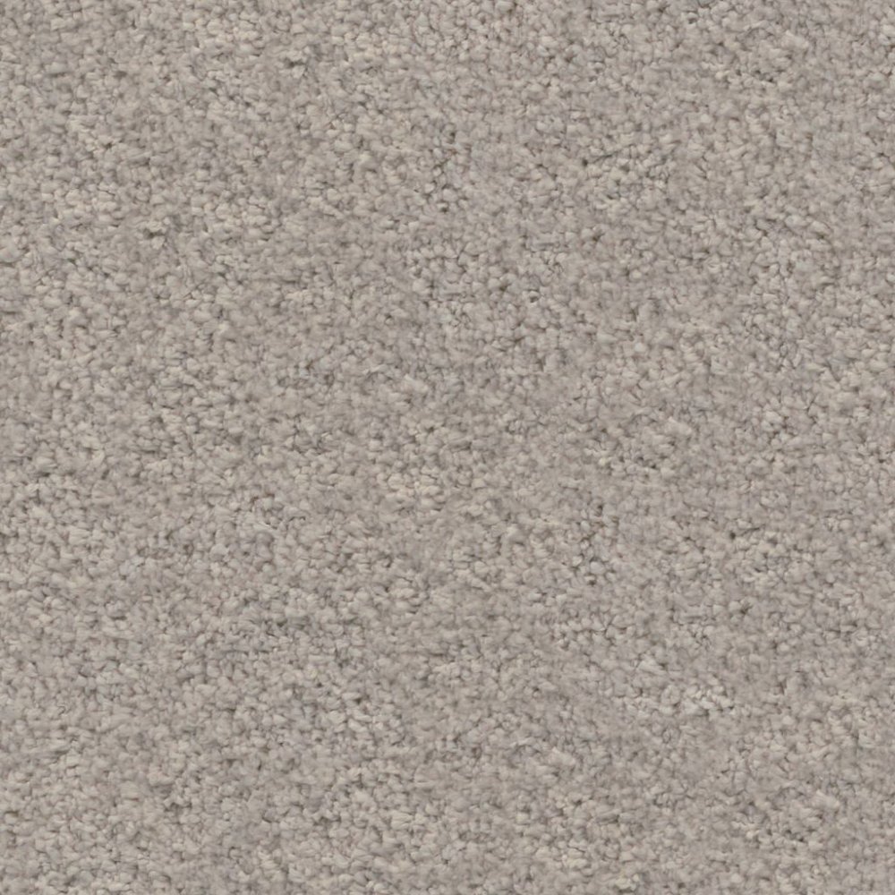 Amoroso greige 0195 | 400cm - Ambiant