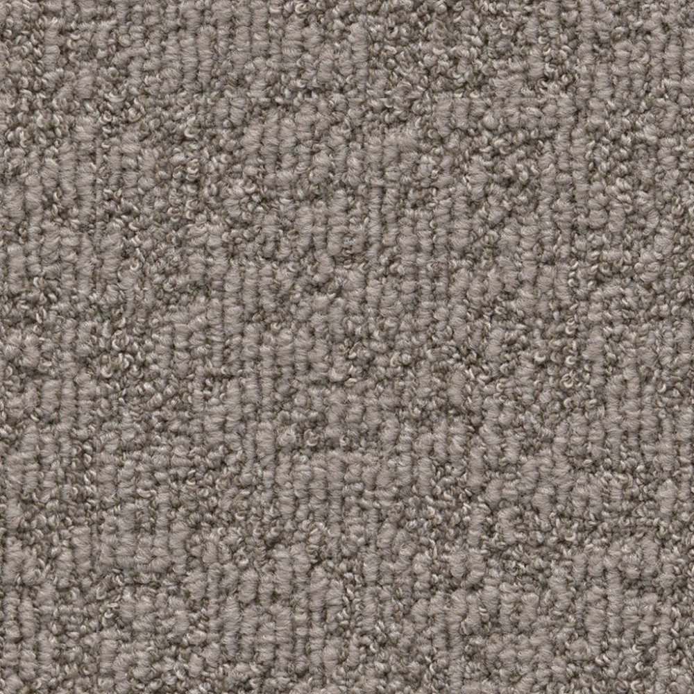 Buffalo bruin 0600 | 400cm - Ambiant