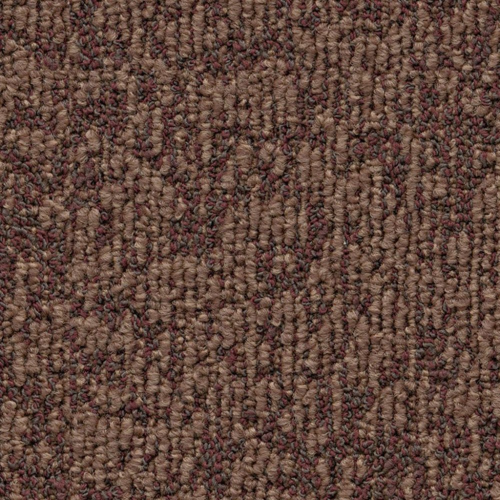 Buffalo terra 0645 | 400cm - Ambiant