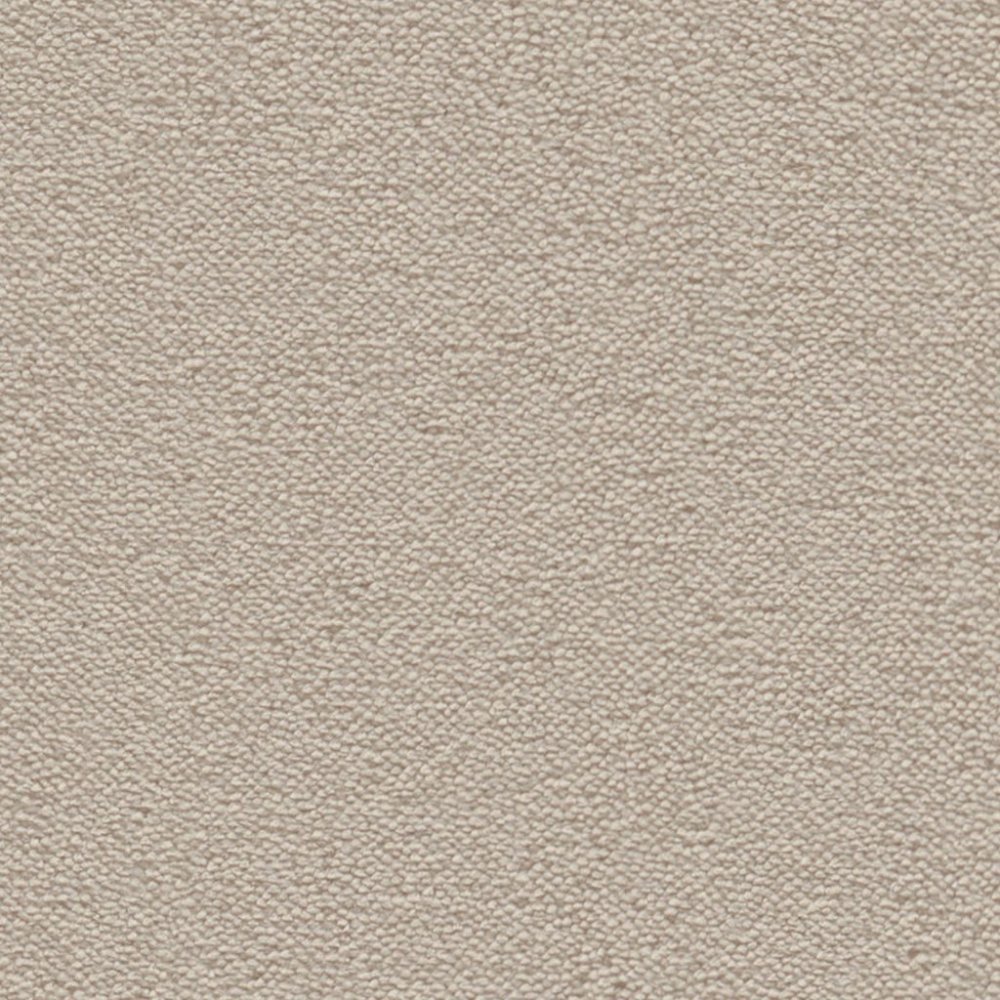 Charlotte champagne 0030 | 400 cm