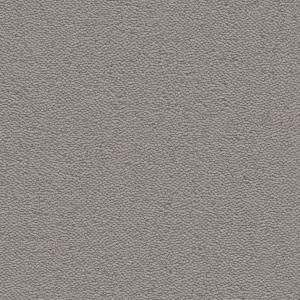 Charlotte grijs 0100 | 400 cm