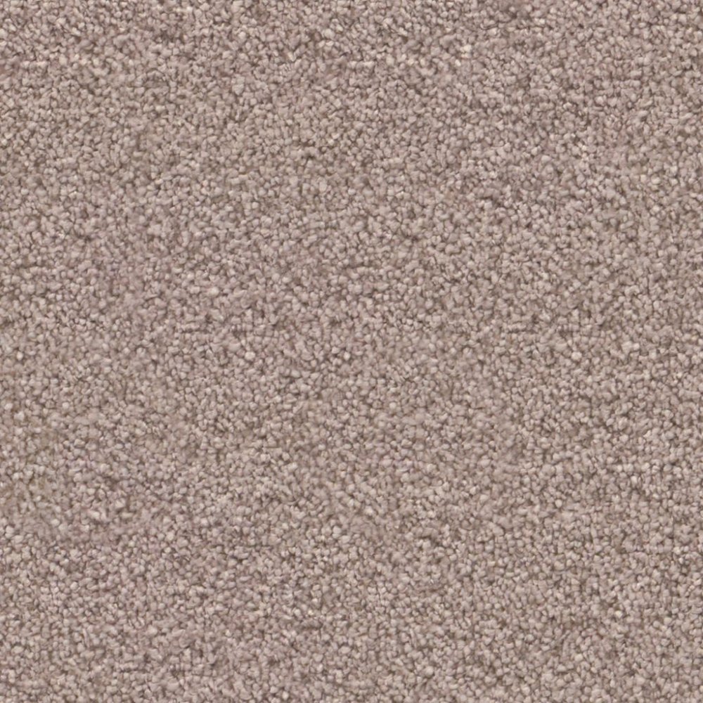 Cleveland lila 0560 | 400cm - Ambiant