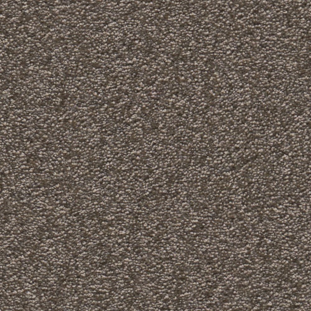 Columbus taupe 0535 | 400cm