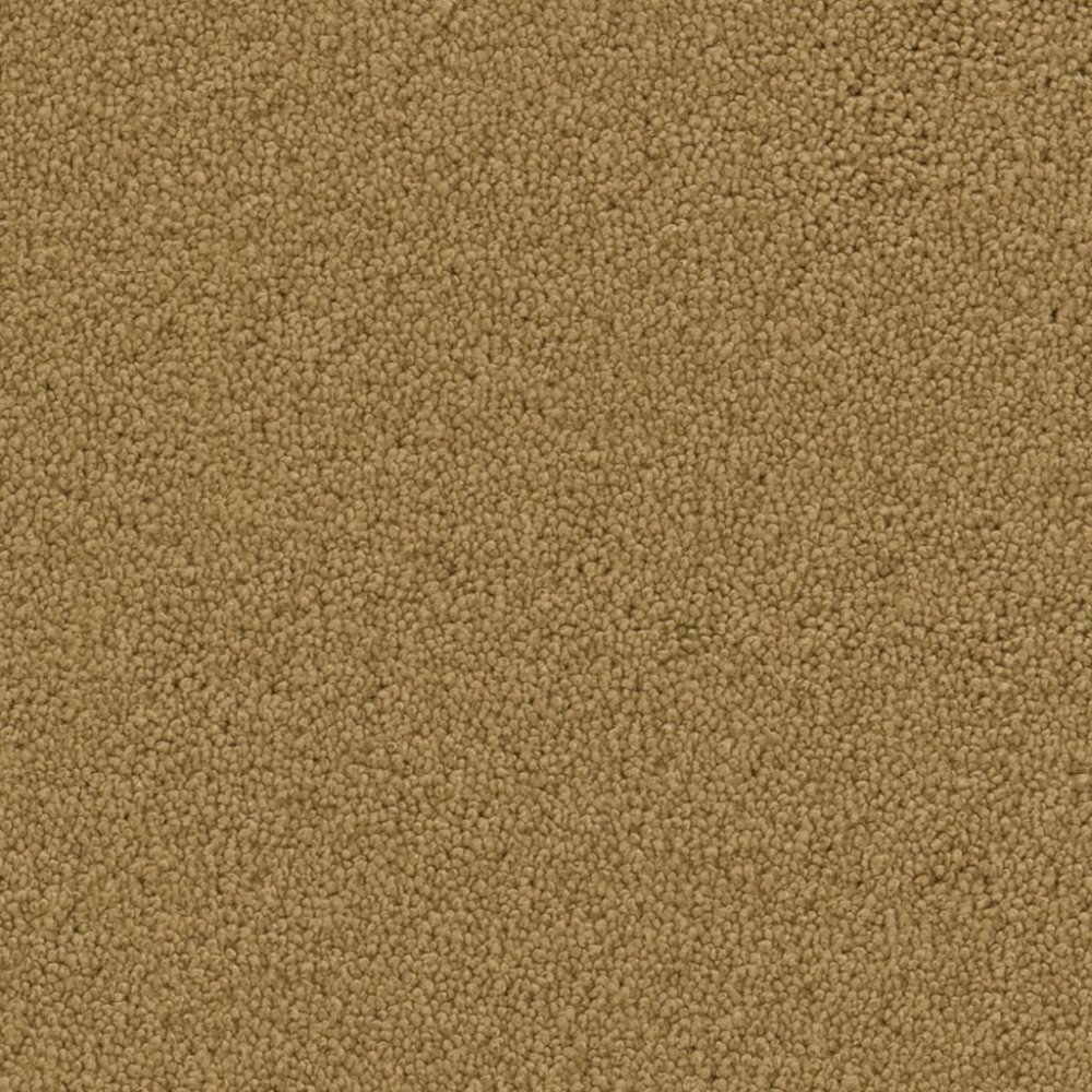 Dallas oker 0870 | 400cm - Ambiant