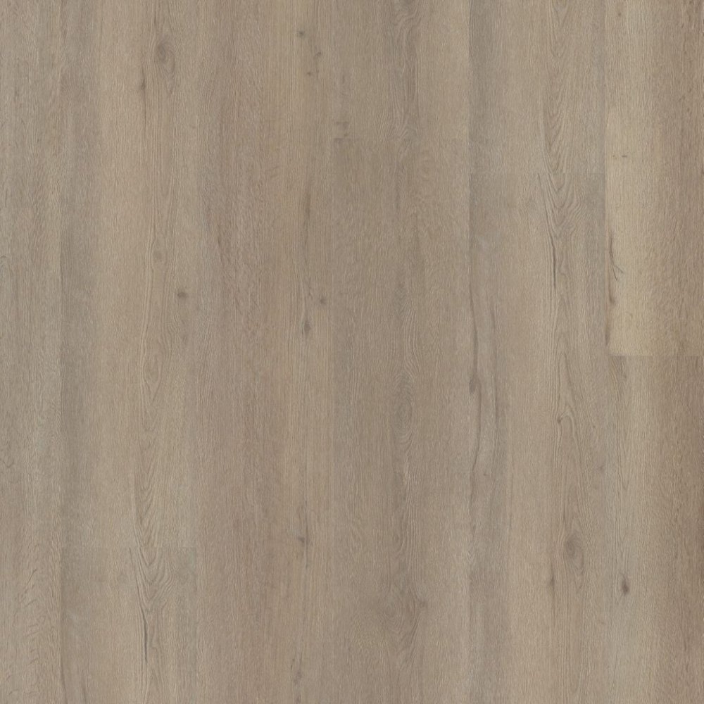 Ambiant Vivero Betonlook Plak PVC Lichtgrijs