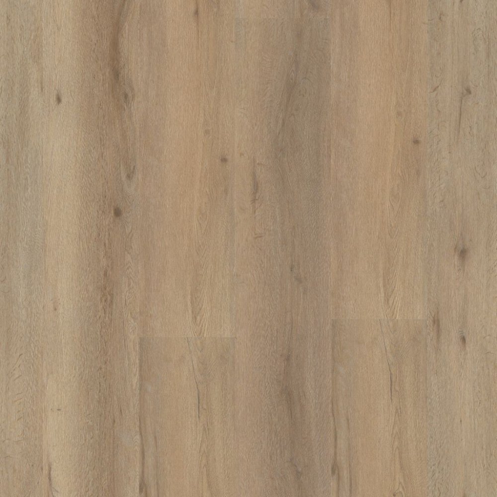 Ambiant Vivero Betonlook Plak PVC Naturel