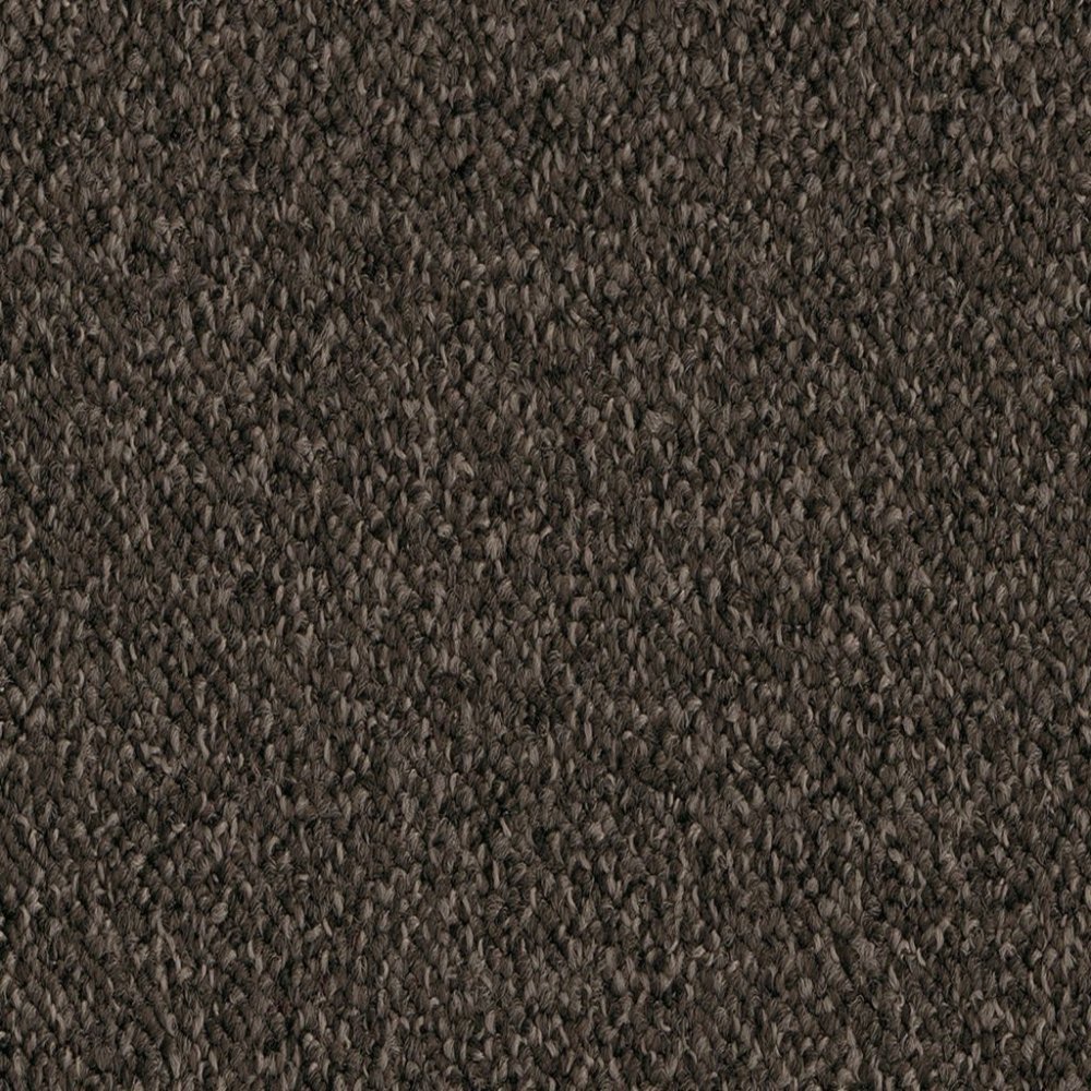 Jackson bruin 0600 | 400 cm