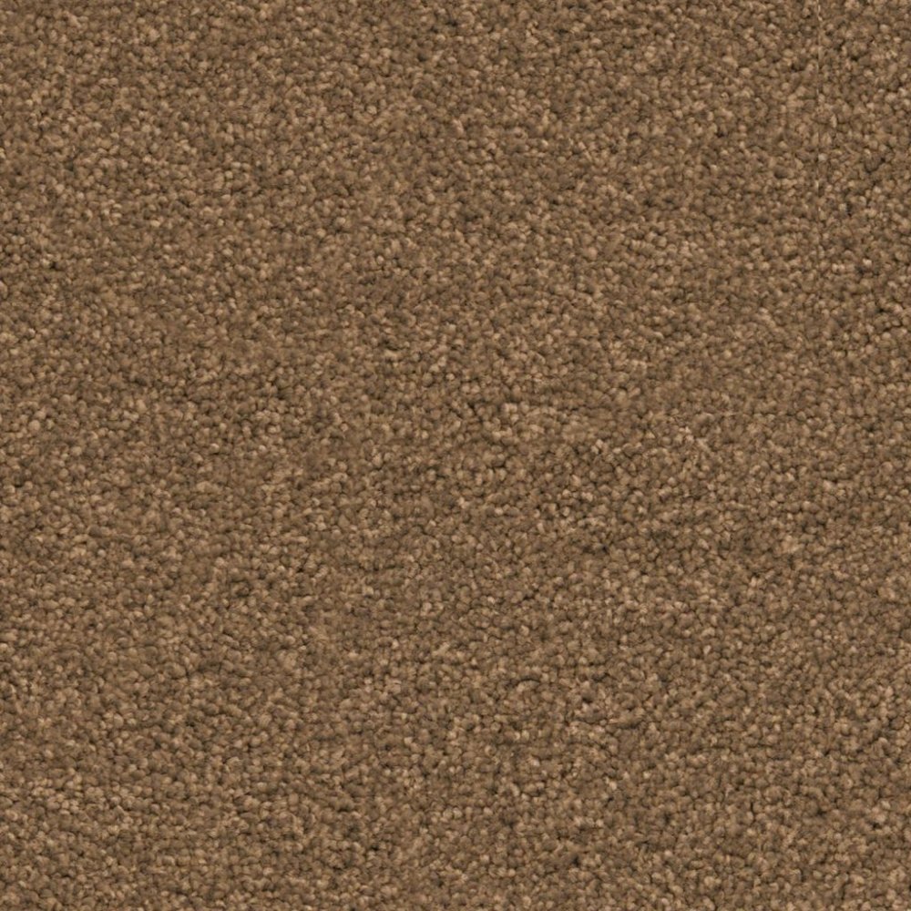 Miami camel 0405 | 400cm
