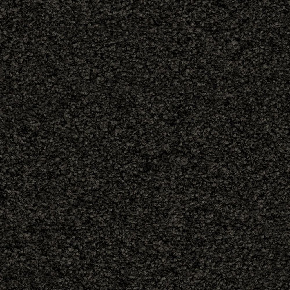 Minnesota zwartbruin 0255 | 400 cm