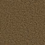 Newberry mosterd 0996 | 400 cm
