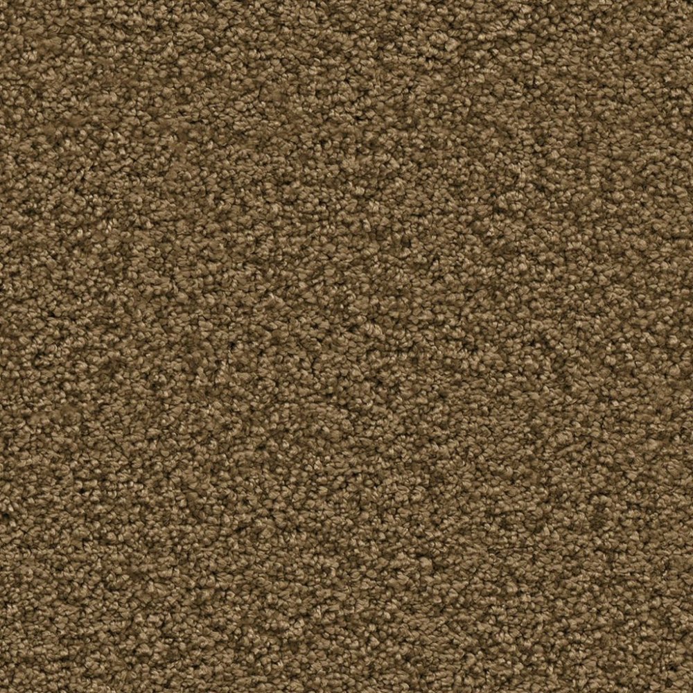 Newberry mosterd 0996 | 400 cm