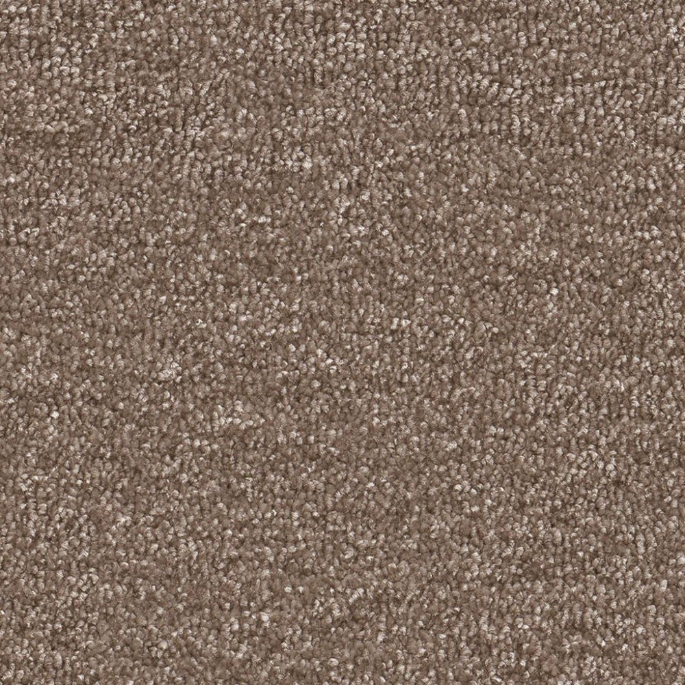 Nifty bruin 0600 | 400 cm