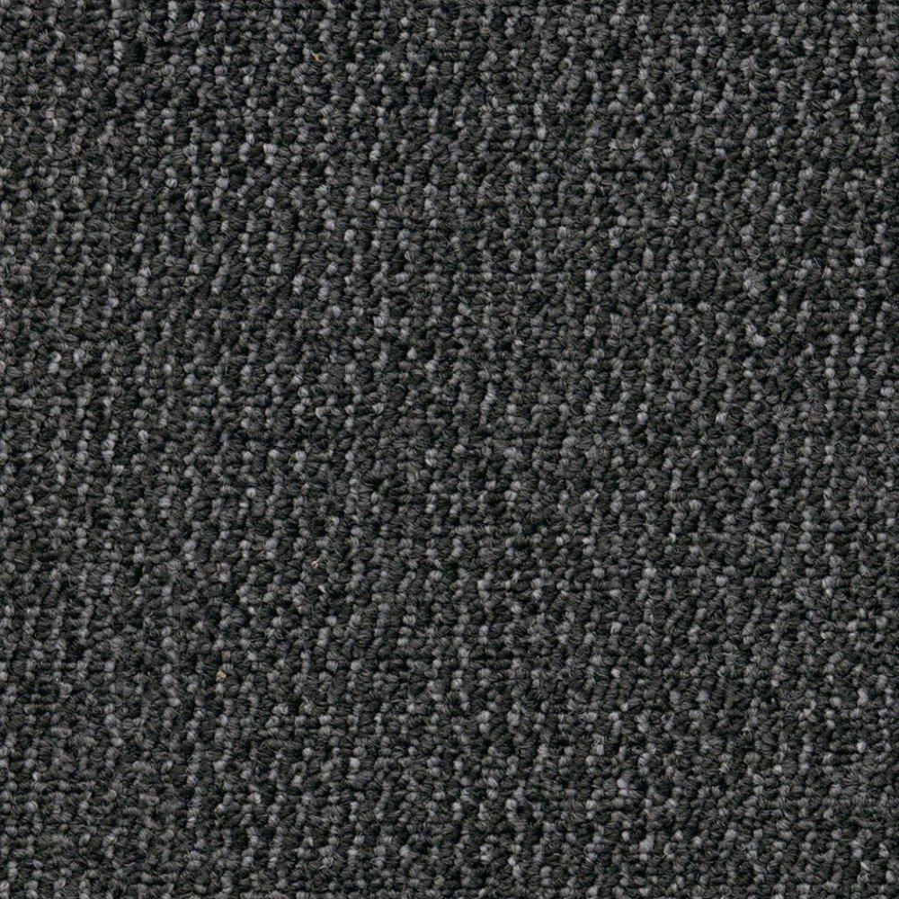 Odessa antraciet 0205 | 400cm