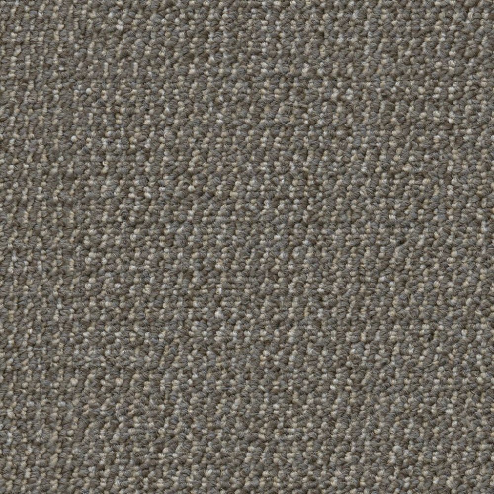 Odessa greige 0195 | 400cm