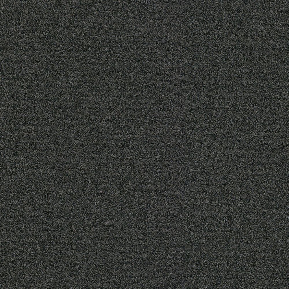 Passage olifant 0120 | 130cm - incl. 2x2,5cm stootrand - Ambiant
