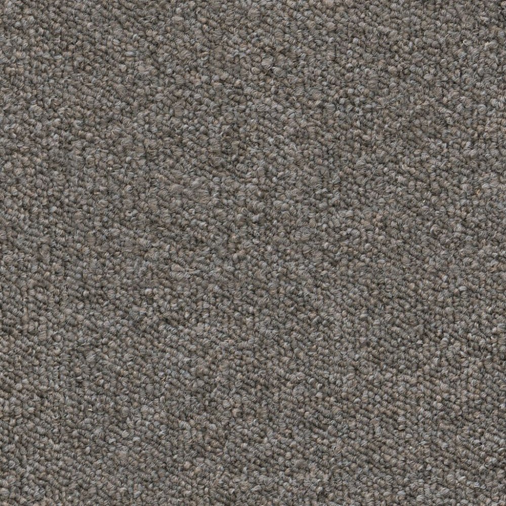 Scottsdale greige 0195 | 400cm